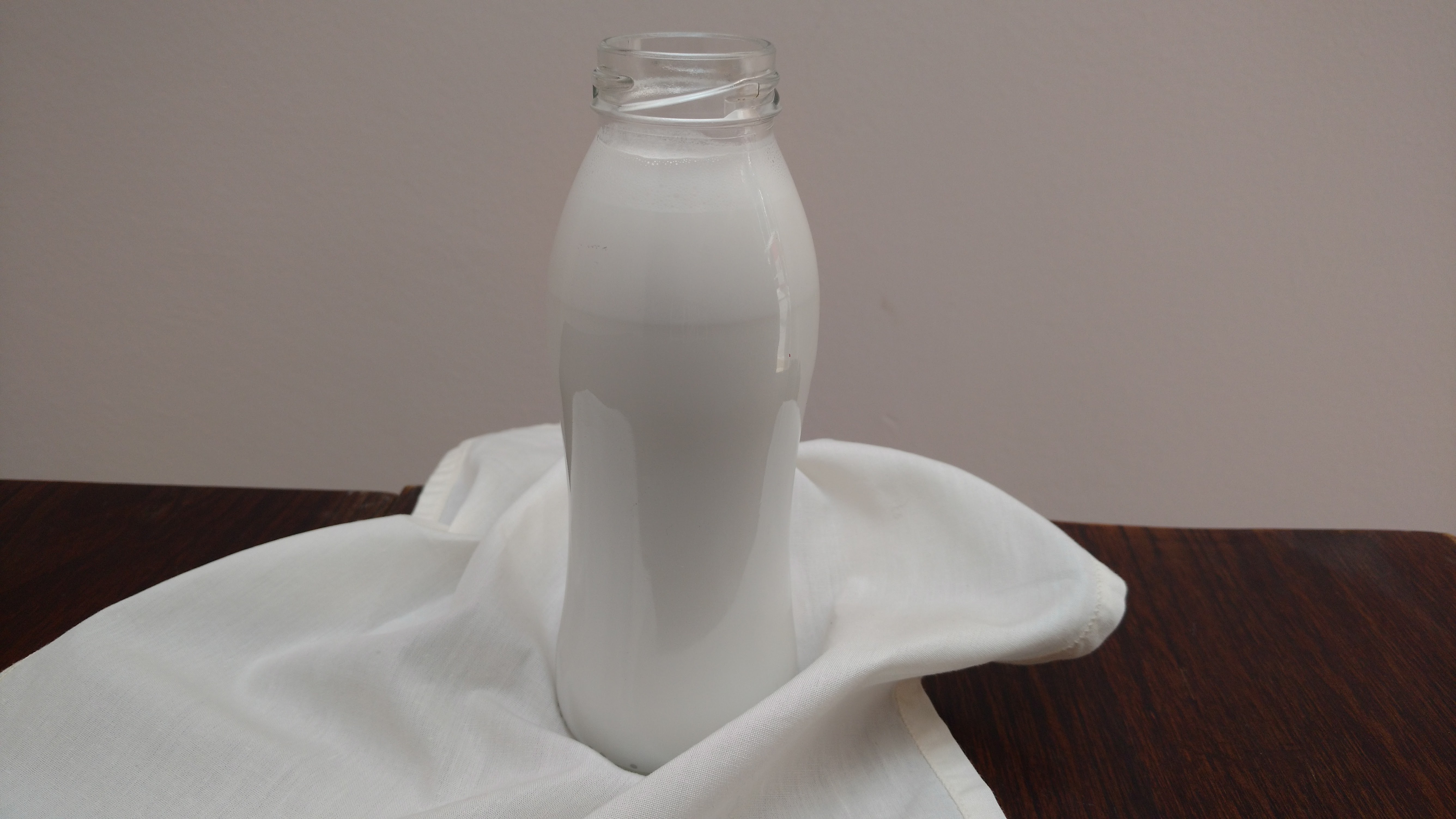 leite de coco extraído em casa